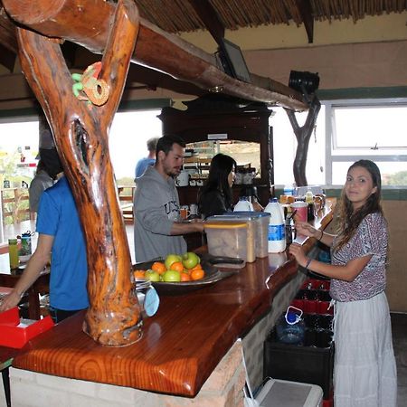 The Wild Farm Backpackers Hostel Wilderness Bagian luar foto